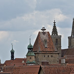 roofs and inhabitants
