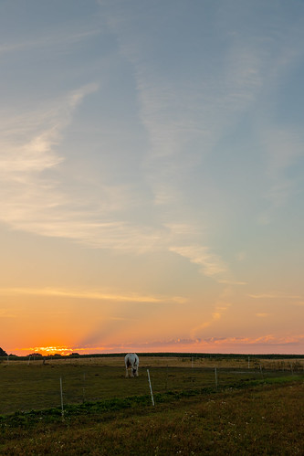 Wolkentupfer by hrolapp, feld koppel pferd sonnenaufgang tier twedt weide flensburg schleswigholstein deutschland de