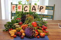 reCAP picnic in Austria, 19th September by reCAP2012