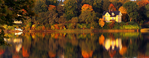 morning autumn trees lake reflection fall colors leaves october sweden stockholm s foliage sverige