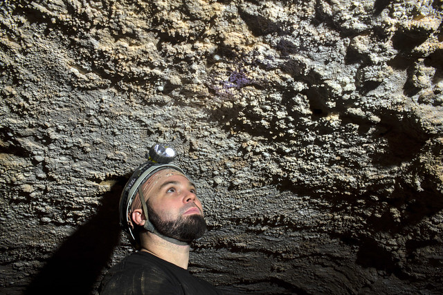 Gypsum crust, Cooper Dawson, Crownover Saltpeter Cave, Franklin Co, TN