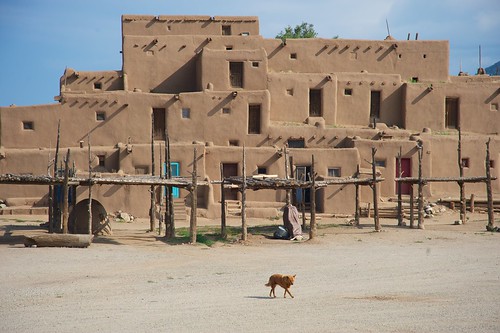 dog pueblo taospueblo lonelydog