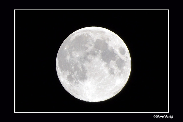 Volle Maan / Full Moon
