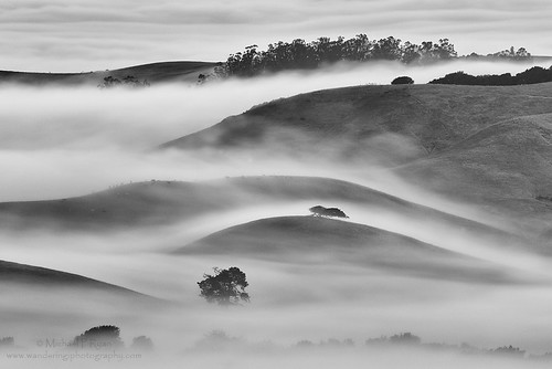 county white black fog photography michael ryan marin hill sonoma hills wilson petaluma rolling wanderingiphotograhpy michaelryanphotography