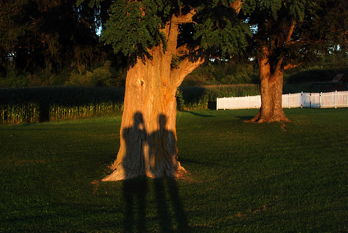 trees white green grass landscape vermont shadows fences middlebury fields ourshadows