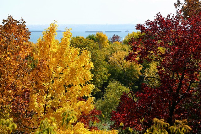 Fall Colors at the Lakefront