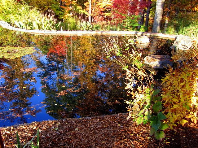 Duke gardens reflections