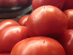 Four fruit Flies on a pile of ripe tomatoes