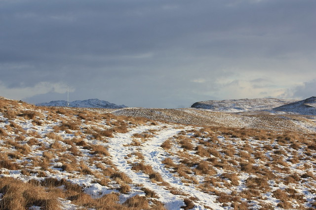 Remote Highland Track, Scotland.