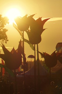 Sun Set over the Tulips - Camp Bestival 2012