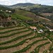 Vallee du Douro (Portugal)