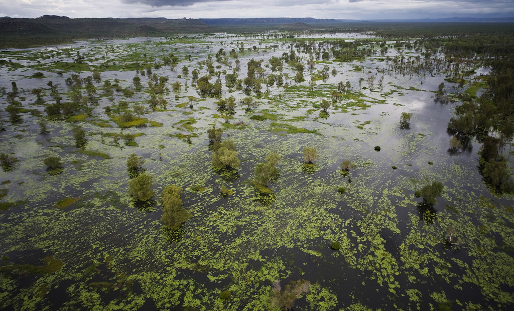 Kakadu Wetlands