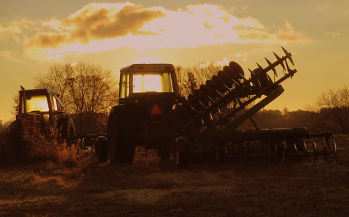 SUNRISE IN MICHIGAN by waterbug49307, 