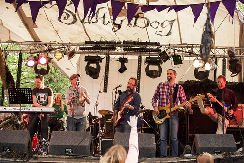 The Camembert Quartet with guest Tom Pyne - Salty Dog, Electric Picnic 2012