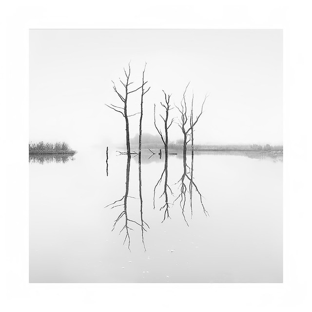 Refections in the mist