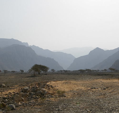 mountain tree landscape rocks desert uae wadi