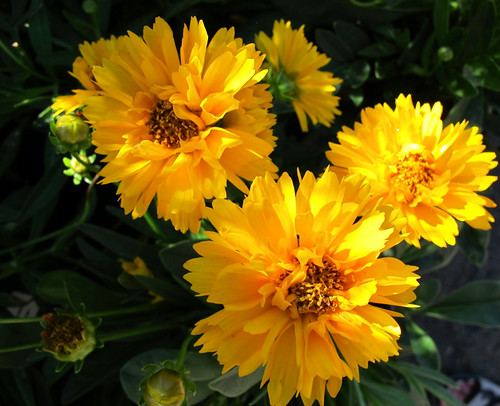 SEPTEMBER! | by Bennilover