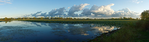 ohio panorama lake clouds zeiss sunrise island harbor lotus east carl erie za catawba hugin variosonnartdt35451680