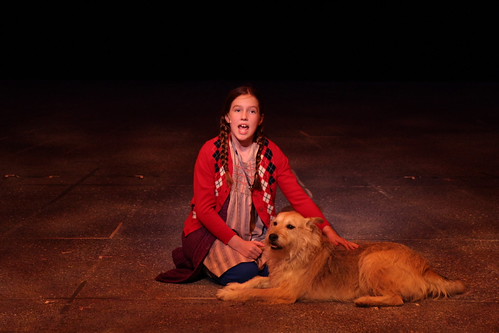 ANNIE at TWH