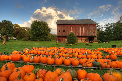 autumn ohio fall barn rural pumpkin geotagged nikon raw nef hdr cs5 d3s starkcountyohio nikkor1424f28 nikongp1 photomatixpro4 rohrbarn