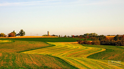 autumn red green wisconsin rural landscape gold corn farm farming rustic harvest silo explore strip contour alfalfa glacial driftless markadsit
