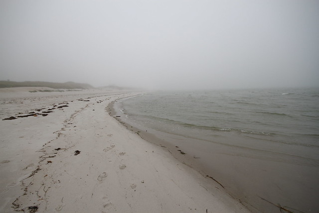Foggy day on Ol' Cape Cod 3