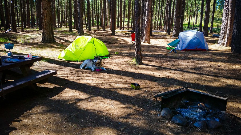 Metolius-Windigo Trail