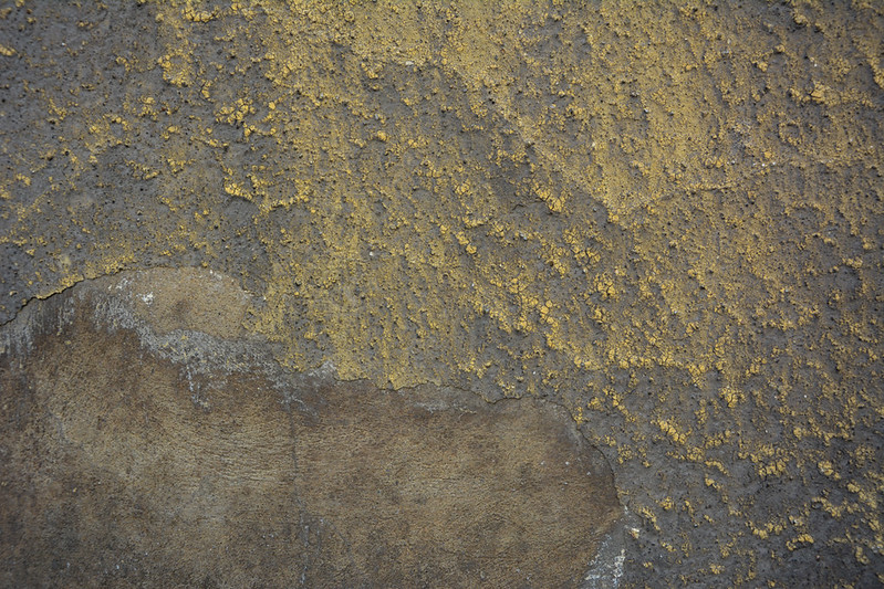 wall-texture-by-texturepalace-medium-13