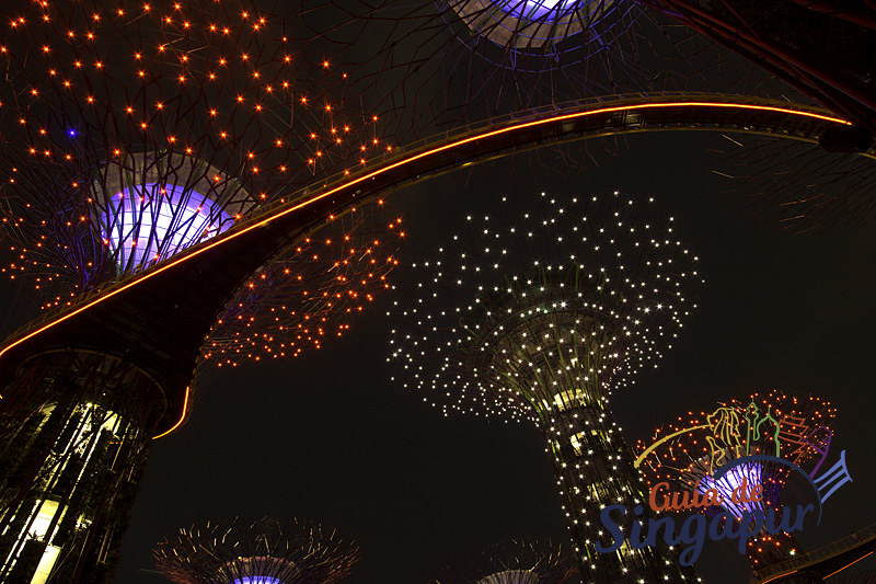 Gardens by the Bay, Singapore