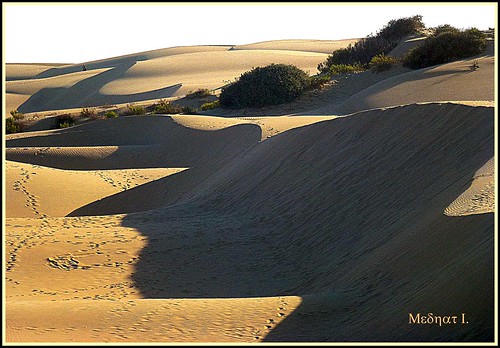 ocean sand shadows pacific dunes medhathi mygearandme mygearandmepremium mygearandmebronze mygearandmesilver mygearandmegold mygearandmeplatinum mygearandmediamond coastalandwaterviewsbymi