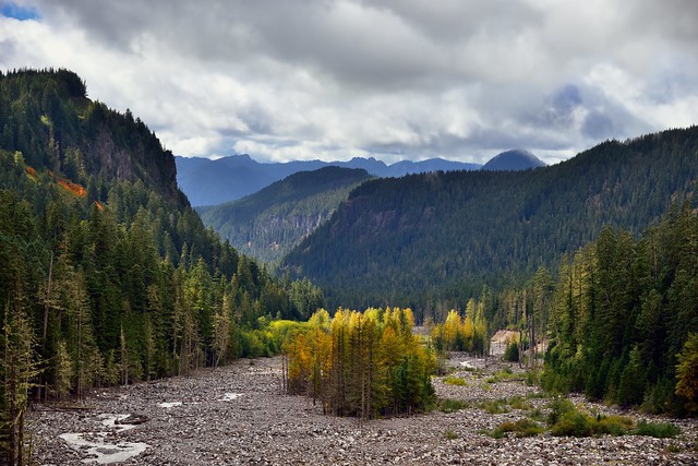 Nisqually River Flows Through a Glacial Valley (Mount Rainier National Park)