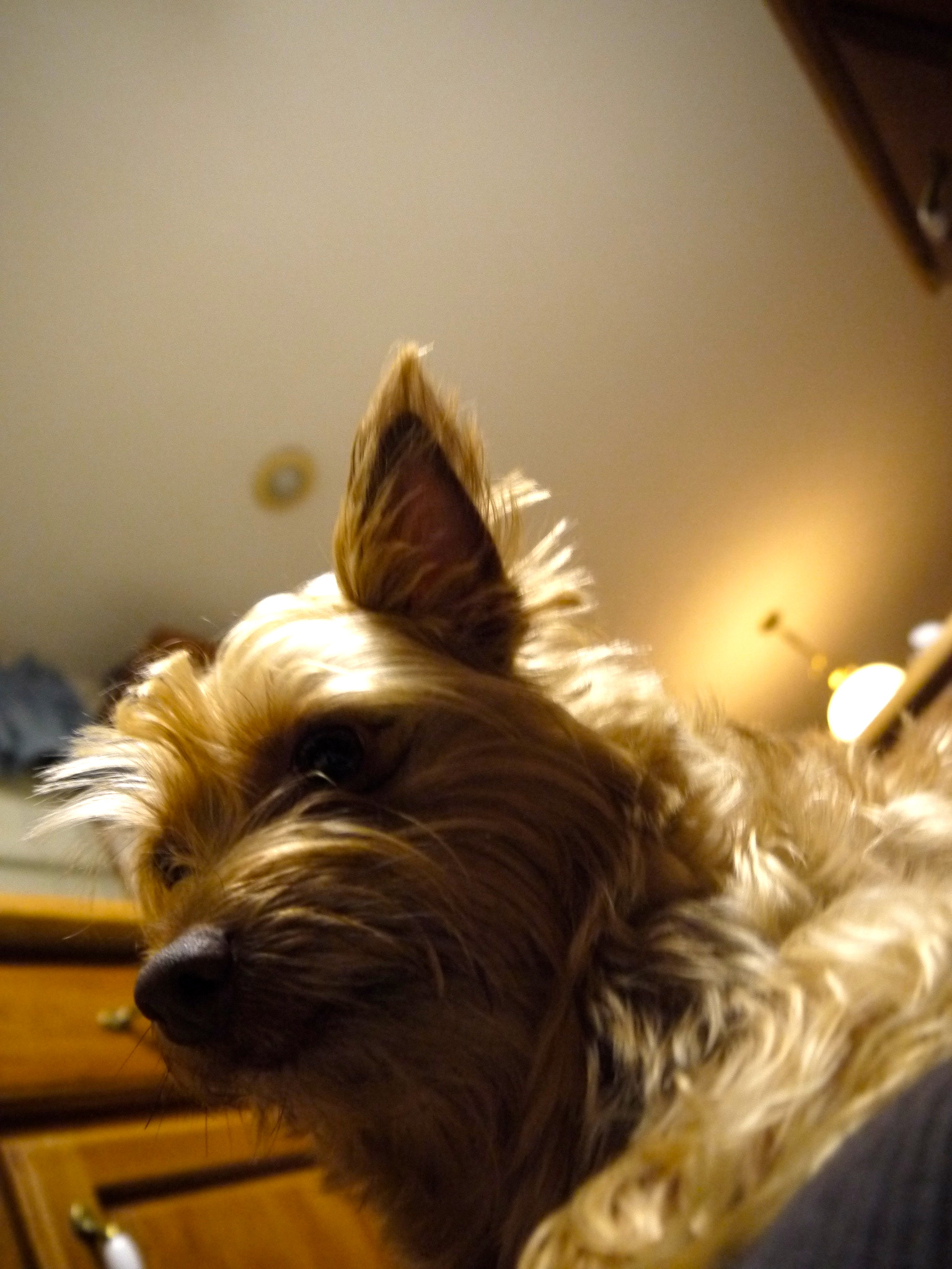 Sam