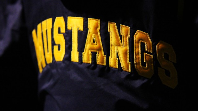 Go Go Mustangs