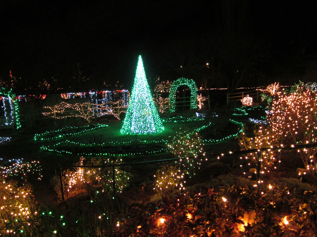 4th Birthday at the Idaho Botanical Garden lights | Christy | Flickr