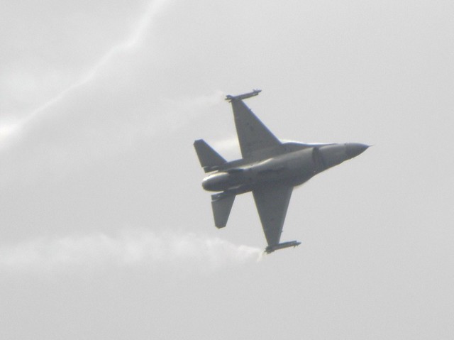 A fighter aircraft at the 2010 Farnborough Air Show