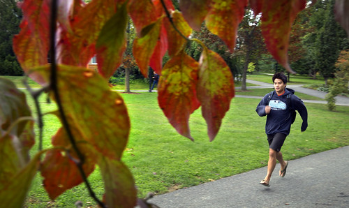 Autumns at Swarthmore