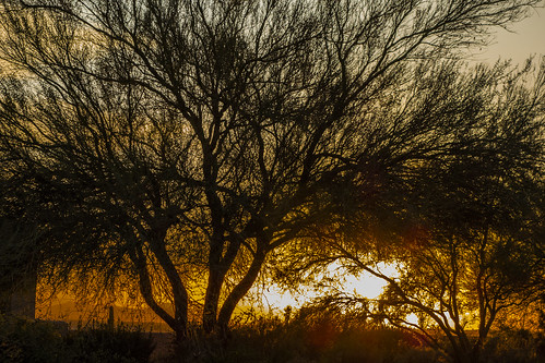 sunset arizona phoenix az rui teixeira thegalaxy rteixeirgmailcom