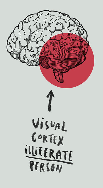 visual cortex illiterate person