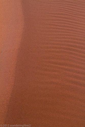 Sand Dune Closeup #2 | by wanderingYew2 (thanks for 7M total views!)