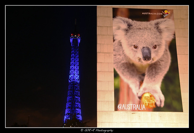 2016.07.16 Tour Eiffel & Koala by night