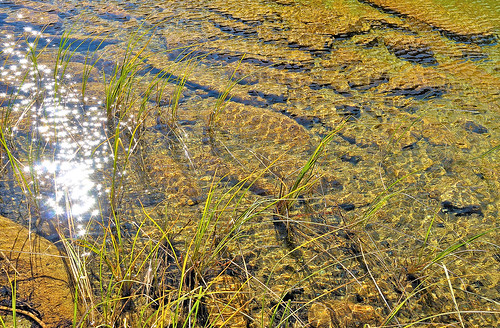 eechillington nikond90 utah lakemartha brightonlakestrail hiking water patterns brighton ripples plants lake rocks explored
