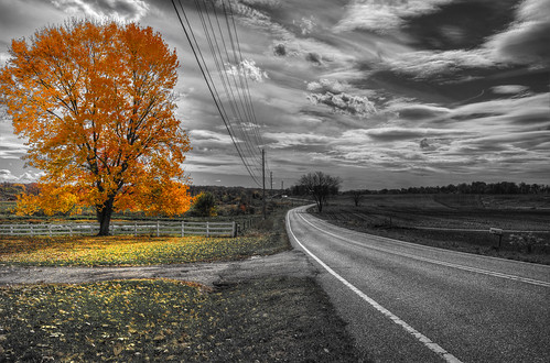 autumn fall landscape geotagged nikon raw nef seasonal surreal hdr cs5 elitephotography d3s nikongp1 niksep photomatixpro4 nikkor24120f4vr