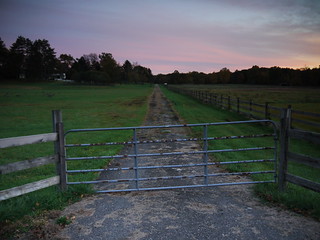 gate and path at sunset