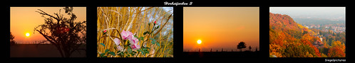 Herbstfarben 3 by Köhlerzocker, Sammlungen verschiedener Herbstfotos aus Dresden und Umgebung.sunset canon eos colorful sonnenunterg