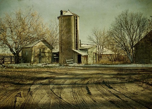 trees winter light snow cold barn rural canon landscape afternoon shadows farm barns silo hdr textured ruts t1i applesandsisters