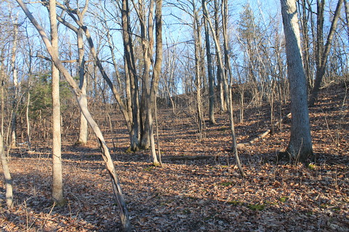 woods looking like creepy april preserve hannacroix andyarthur