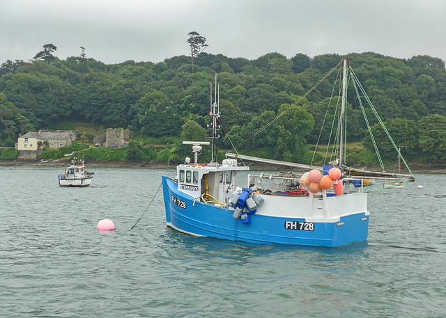 FH728 (Sterennyk) in the Helford River