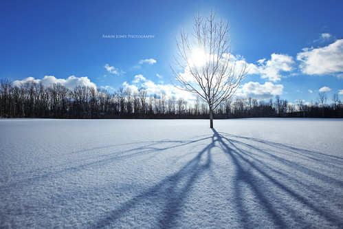 blue trees winter light shadow sky cloud sun sunlight snow tree nature beautiful clouds landscape landscapes pretty skies shadows snowing