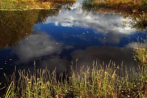 autumn light sky water clouds reflections vermont middlebury grasses