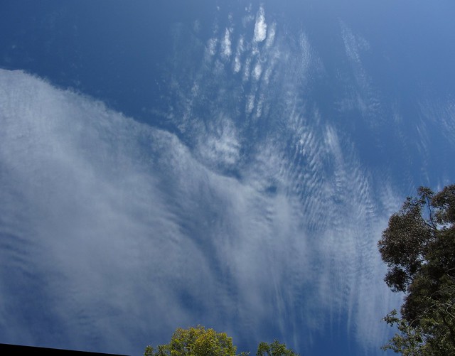 IMG_1984_2 121006 clouds over goleta backyard ICE rm stitch99